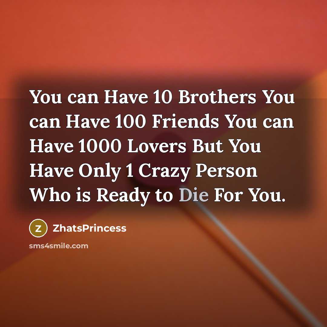 “You can Have 10 Brothers You can Have 100 Friends…” quote by ZhatsPrincess