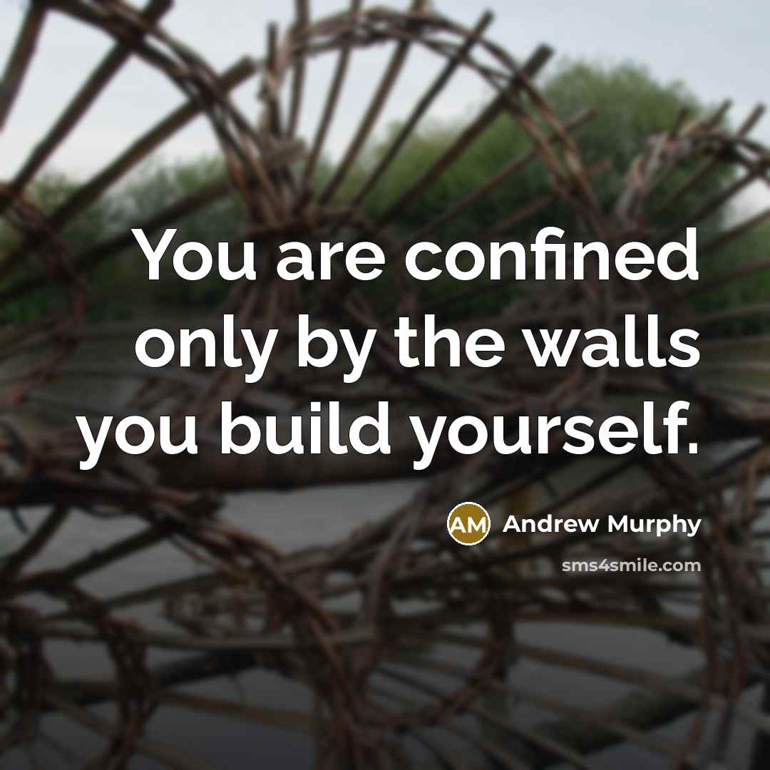 “You are confined only by the walls you build yourself.” quote by Andrew Murphy