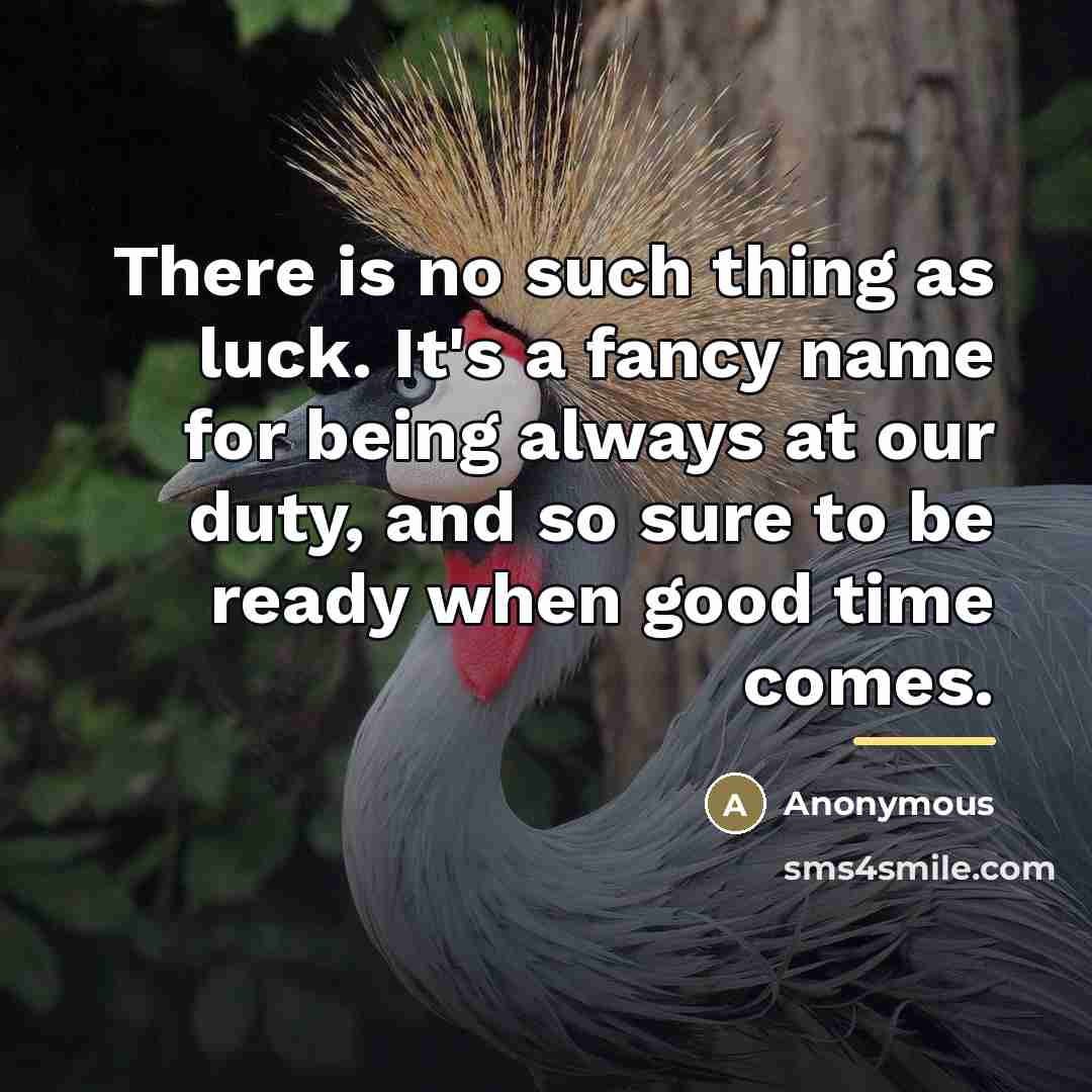 “There is no such thing as luck. It's a fancy…” quote by Anonymous