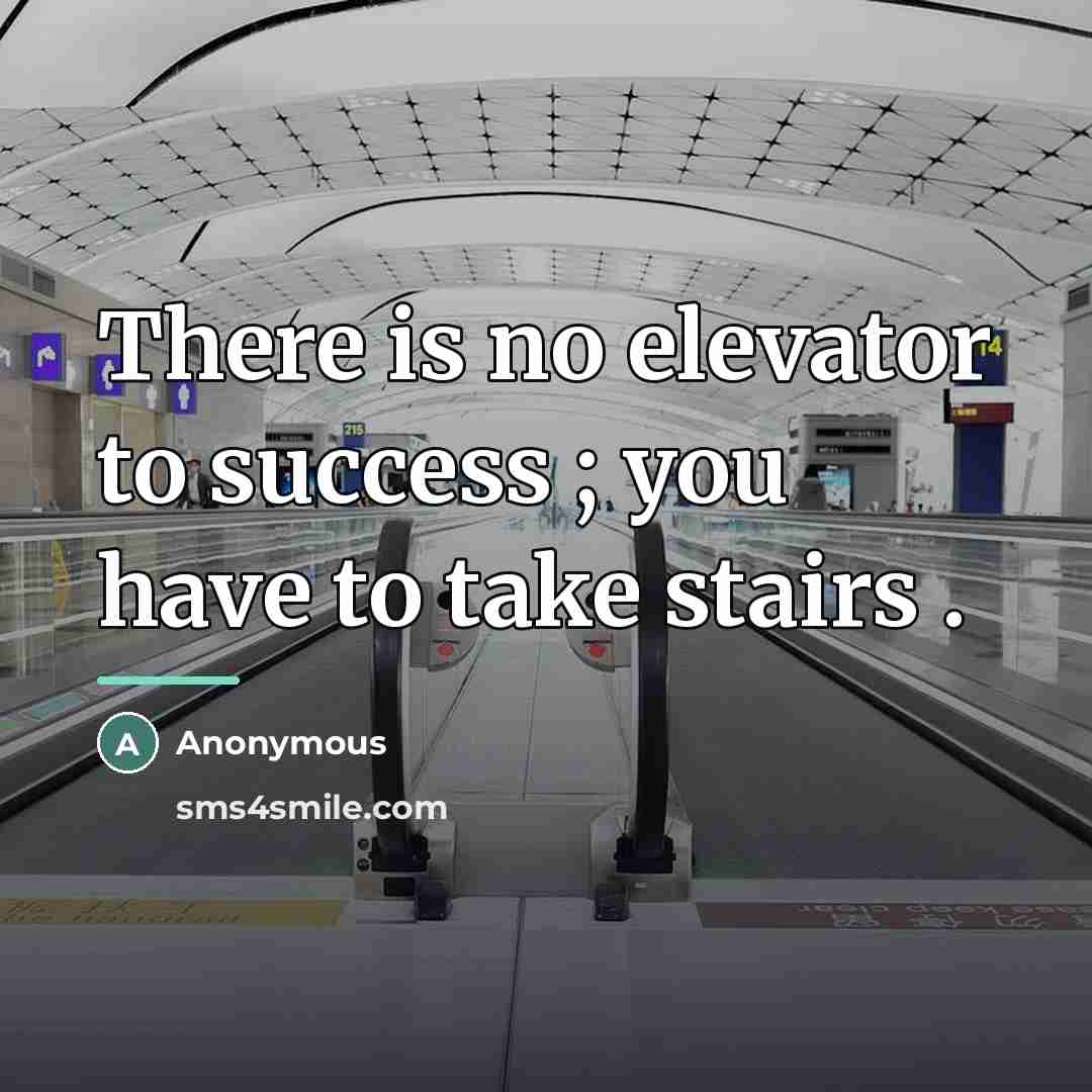 “There is no elevator to success ; you have to…” quote by Anonymous