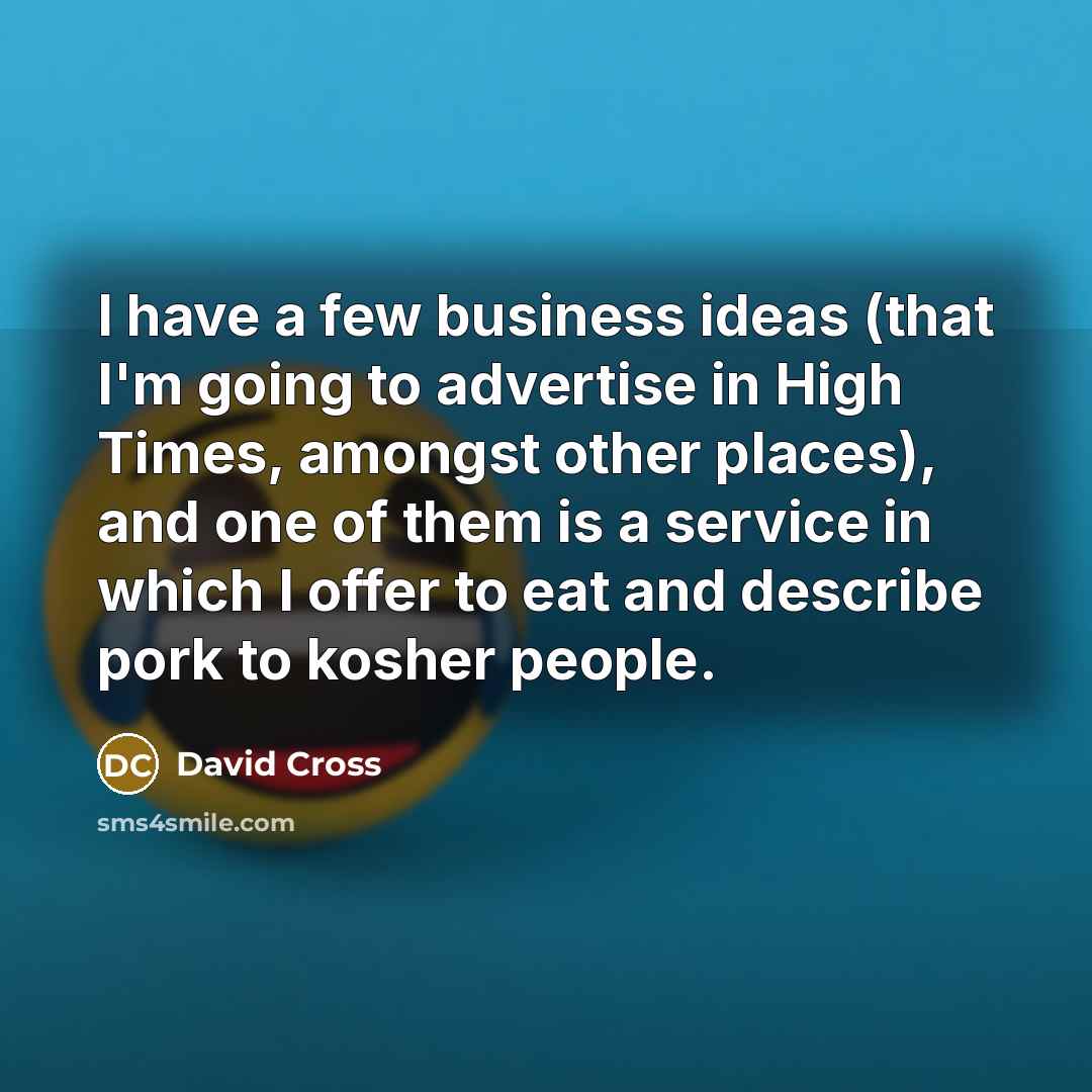 “I have a few business ideas (that I'm going to…” quote by David Cross