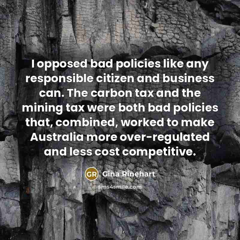 “I opposed bad policies like any responsible citizen and business…” quote by Gina Rinehart