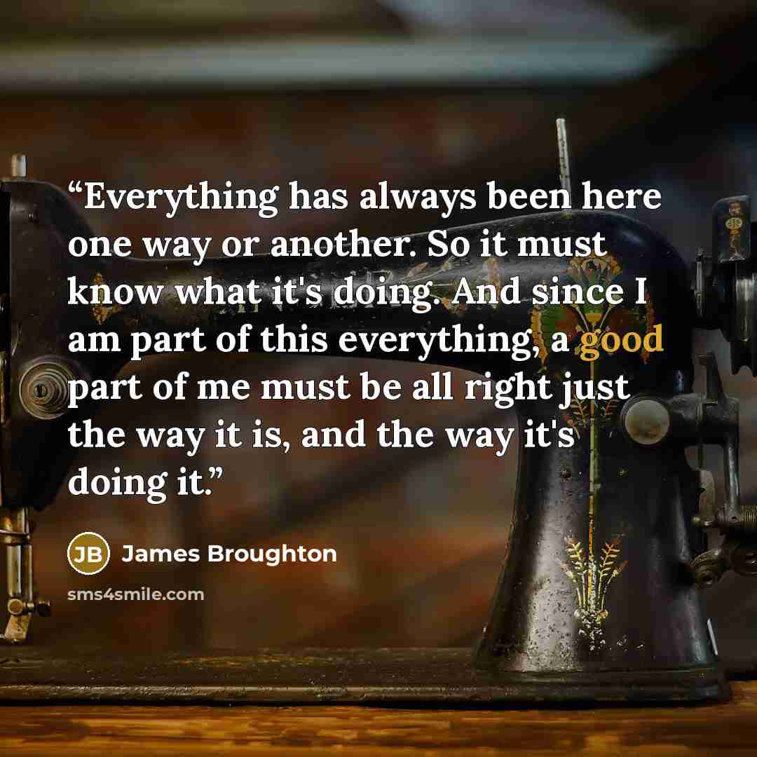 “Everything has always been here one way or another. So it must know what it's doing. And since I am part of this everything, a good part of me must be all right just the way it is, and the way it's doing it.” quote by James Broughton