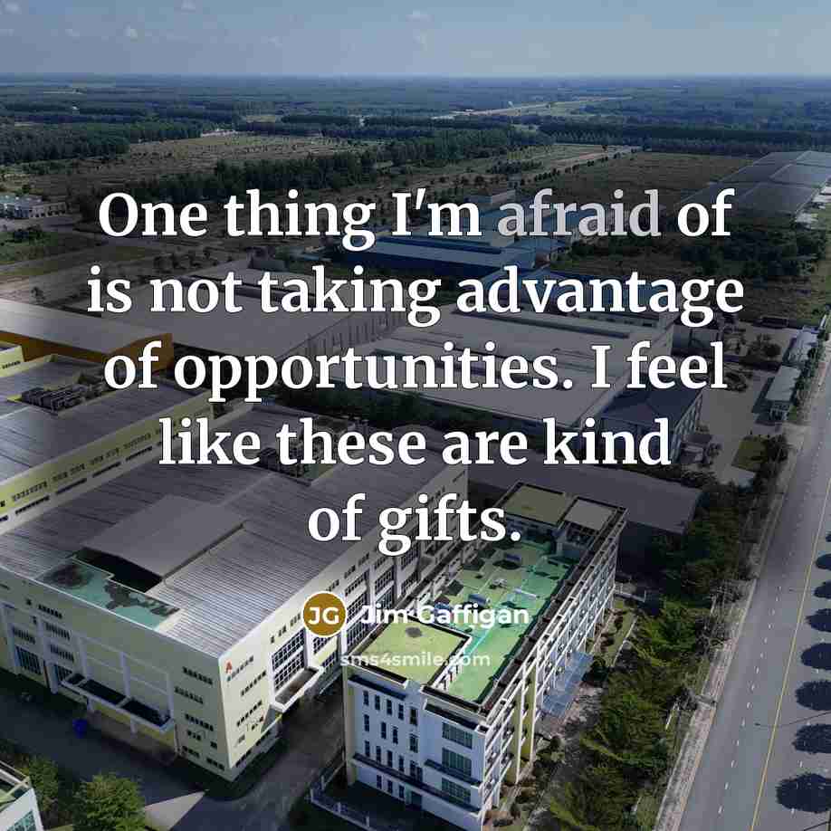 “One thing I'm afraid of is not taking advantage of…” quote by Jim Gaffigan