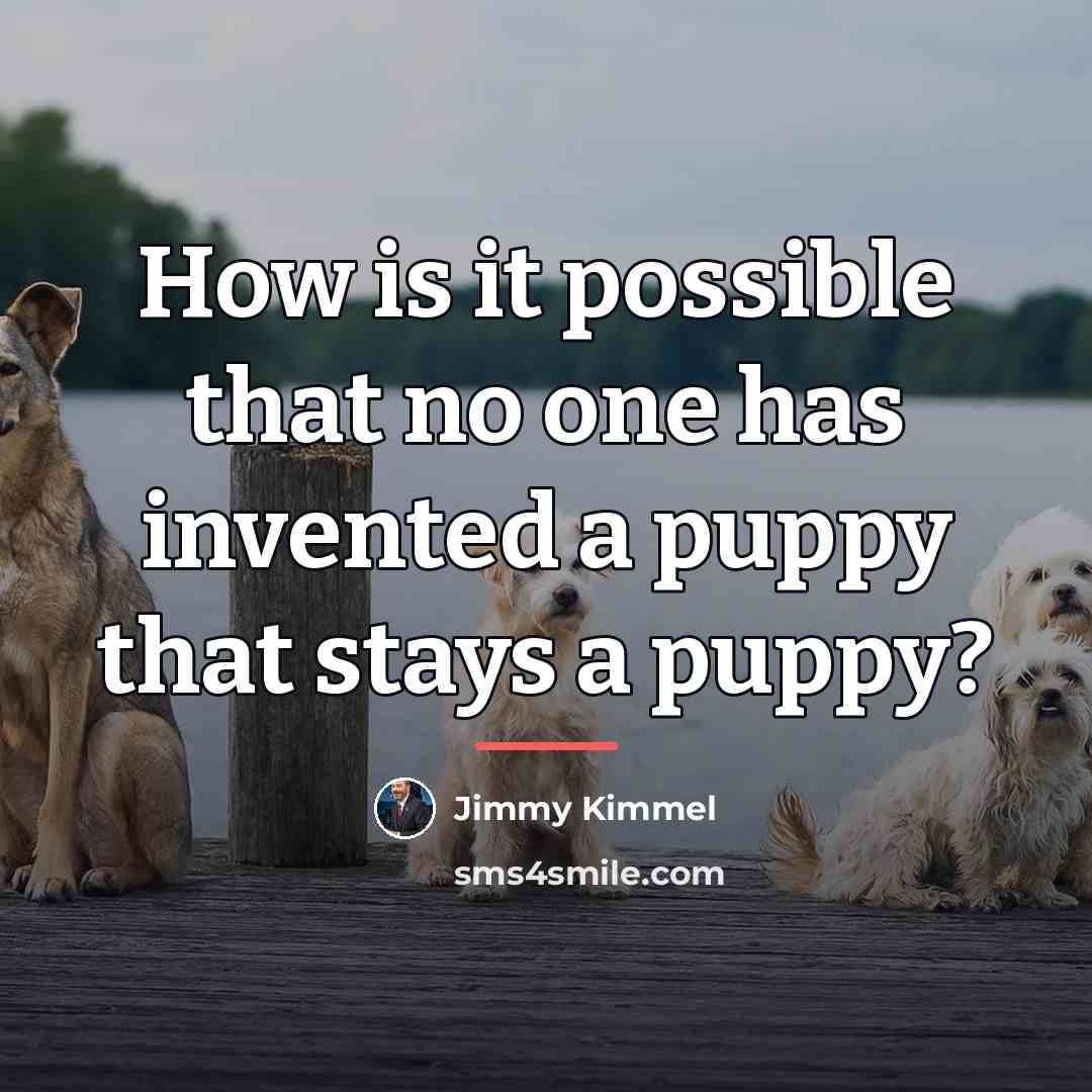 “How is it possible that no one has invented a…” quote by Jimmy Kimmel