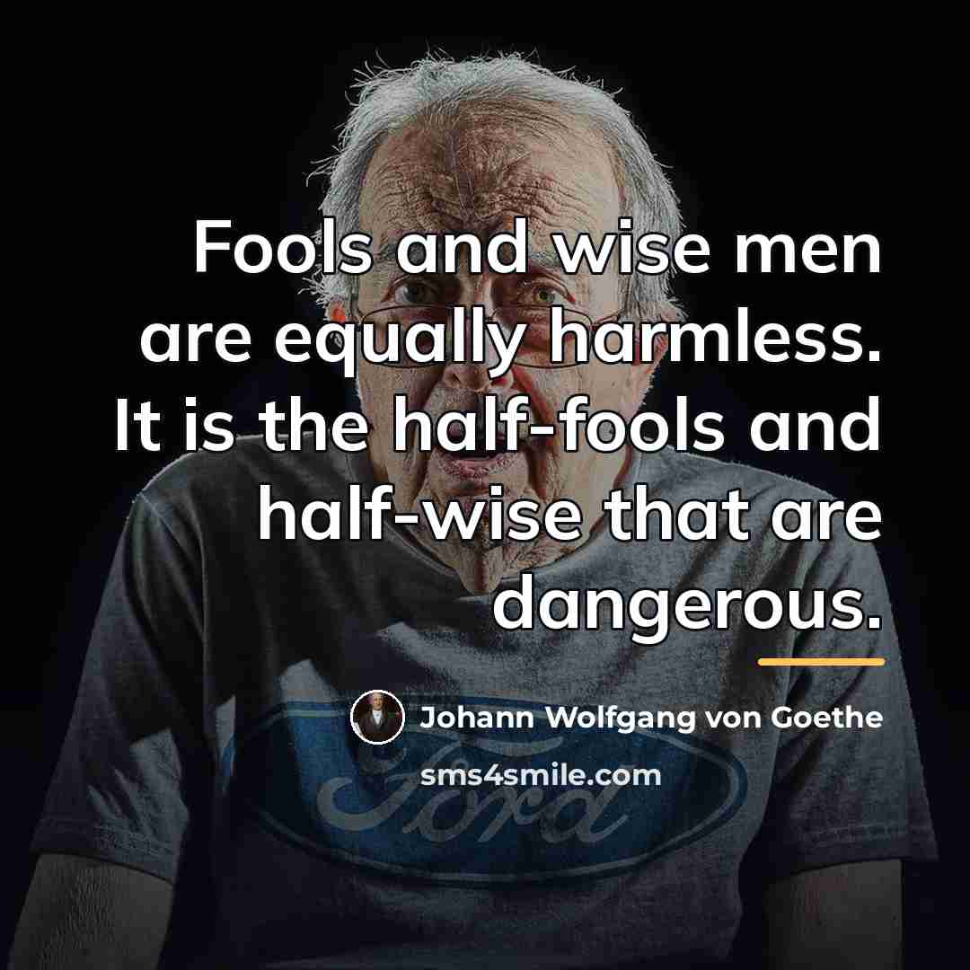 “Fools and wise men are equally harmless. It is the…” quote by Johann Wolfgang von Goethe