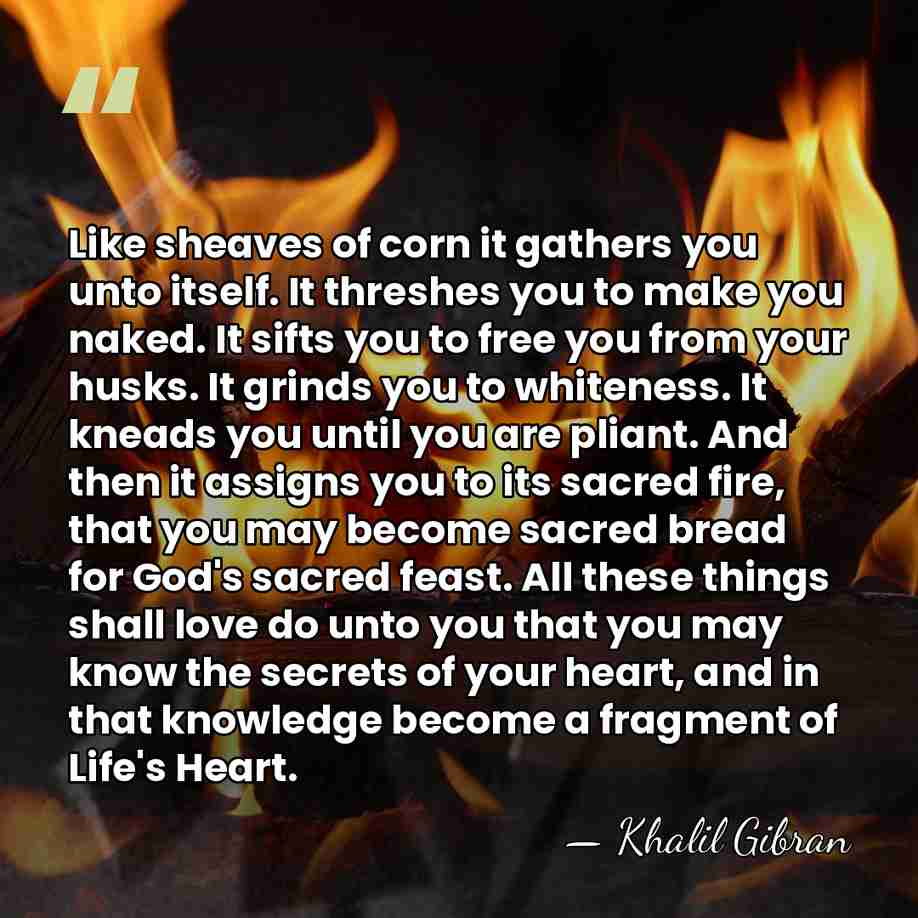 Like sheaves of corn it gathers you unto itself. It threshes you&hellip; - Khalil Gibran
