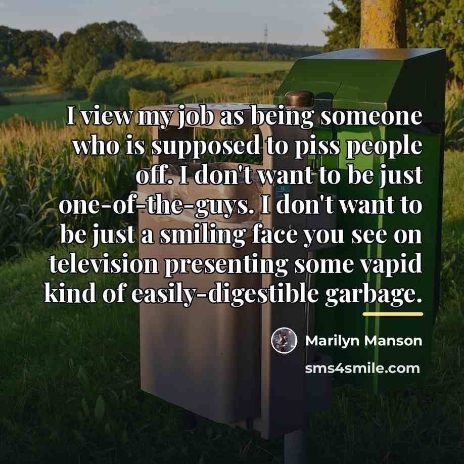 “I view my job as being someone who is supposed…” quote by Marilyn Manson