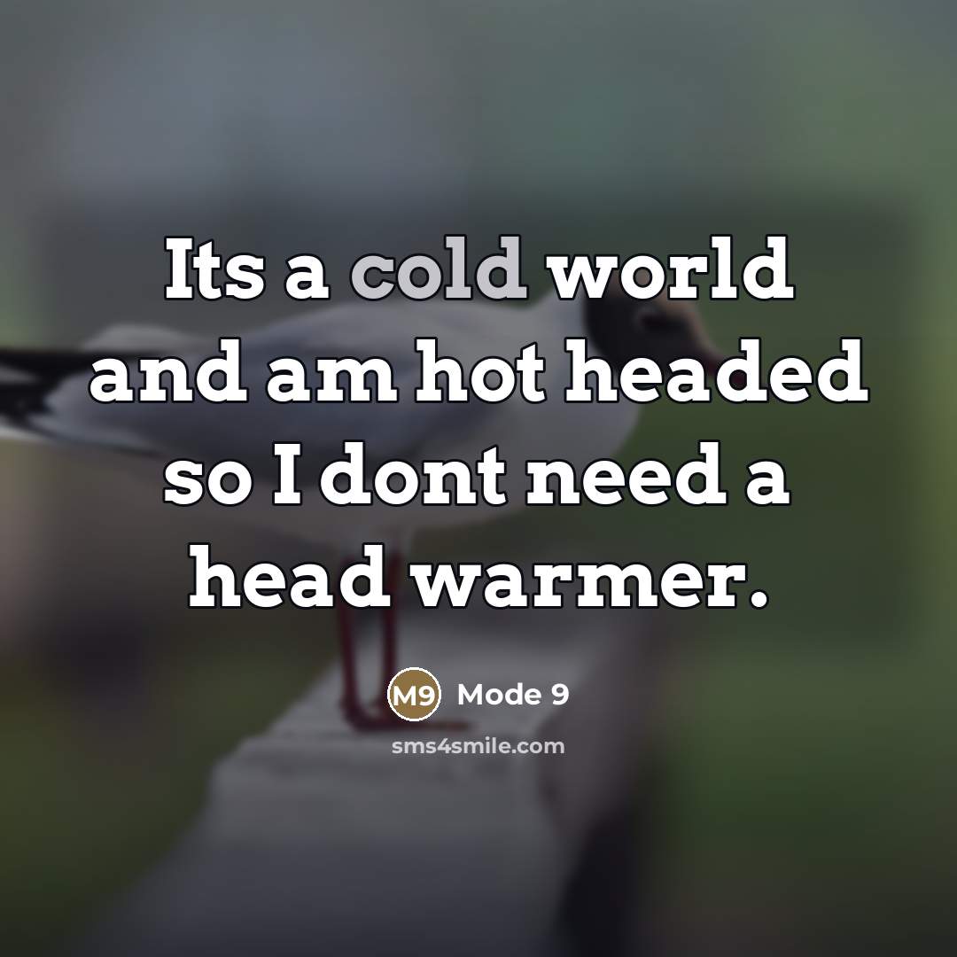 “Its a cold world and am hot headed so I…” quote by Mode 9
