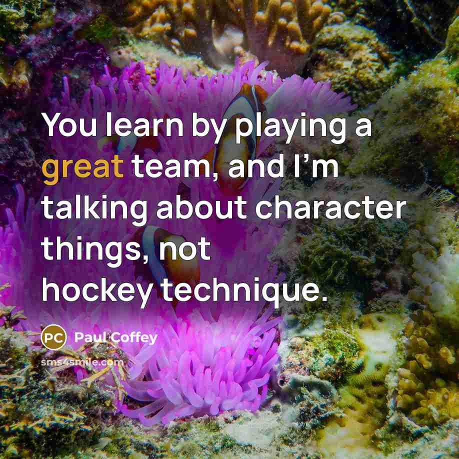 “You learn by playing a great team, and I'm talking…” quote by Paul Coffey