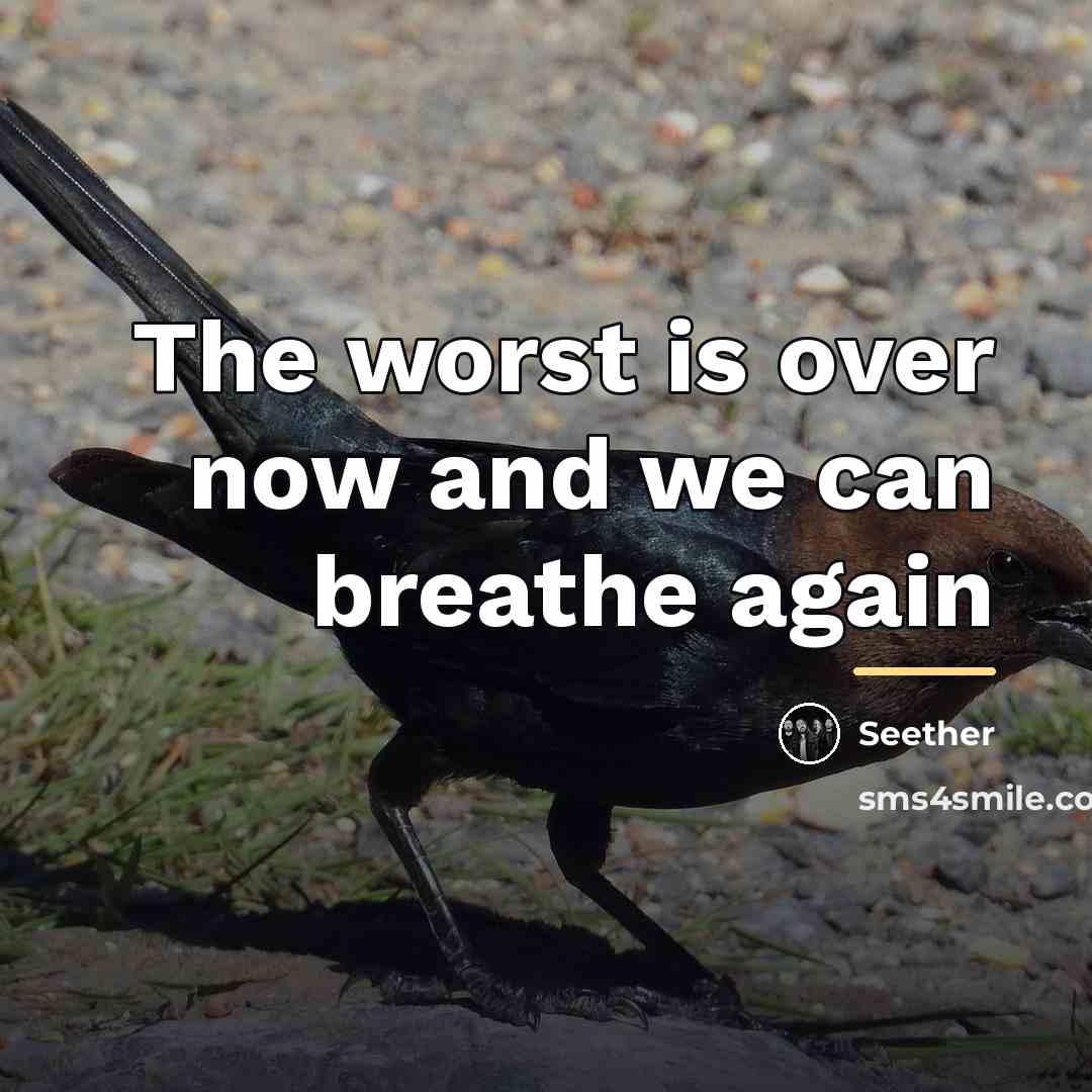 “The worst is over now and we can breathe again…” quote by Seether