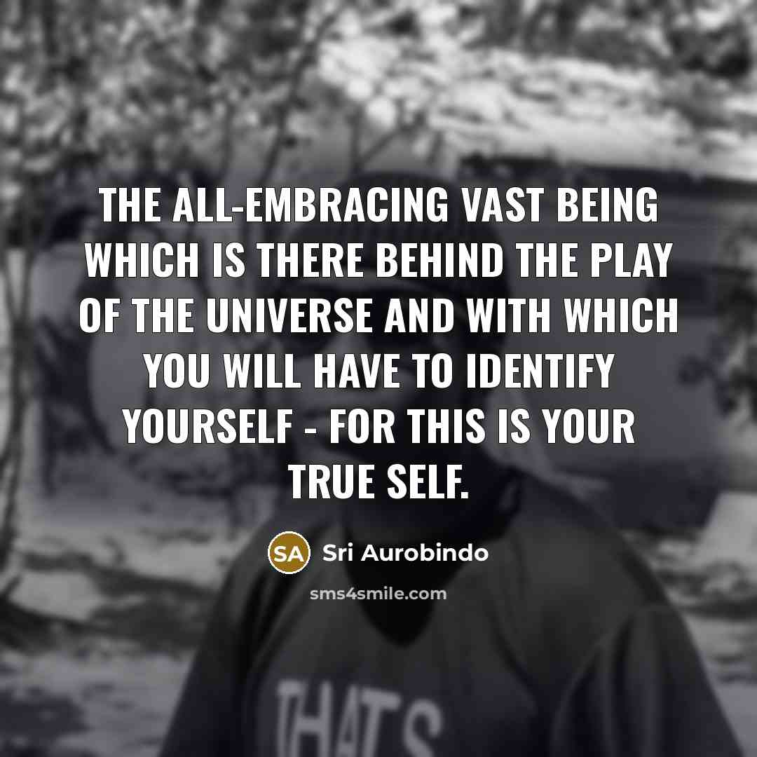 “The all-embracing vast being which is there behind the play…” quote by Sri Aurobindo