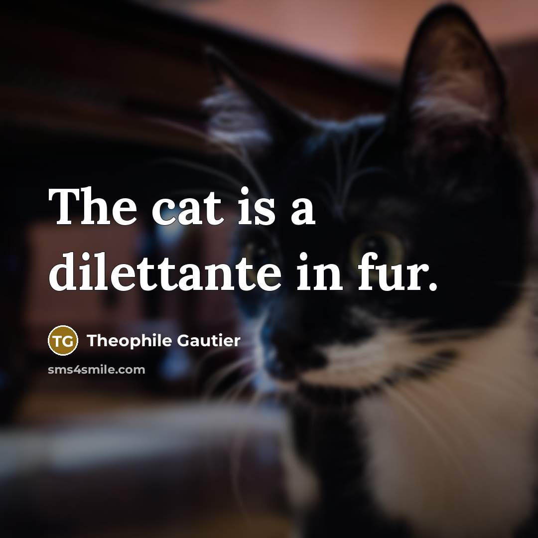 “The cat is a dilettante in fur.…” quote by Theophile Gautier
