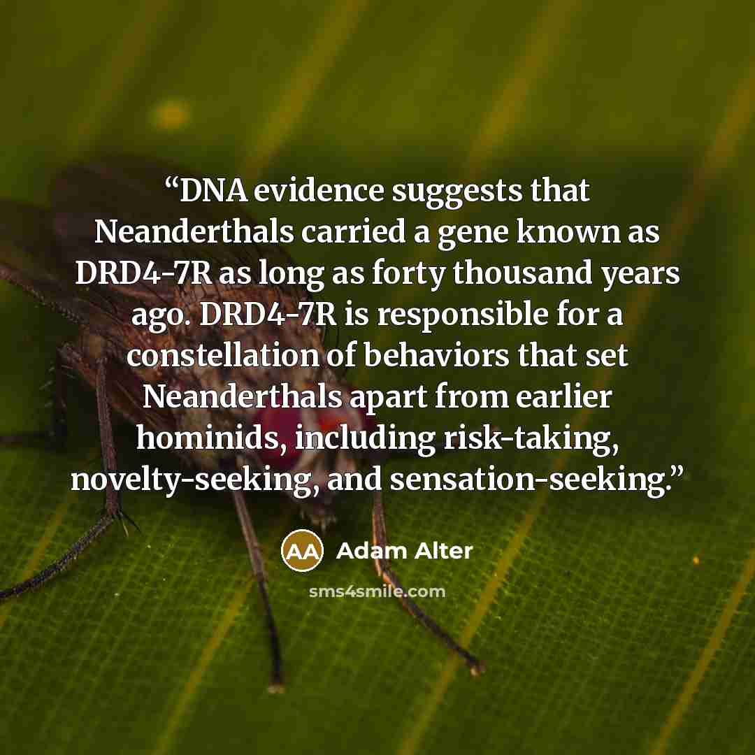 “DNA evidence suggests that Neanderthals carried a gene known as DRD4-7R as long as forty thousand years ago. DRD4-7R is responsible for a constellation of behaviors that set Neanderthals apart from earlier hominids, including risk-taking, novelty-seeking, and sensation-seeking.” quote by Adam Alter