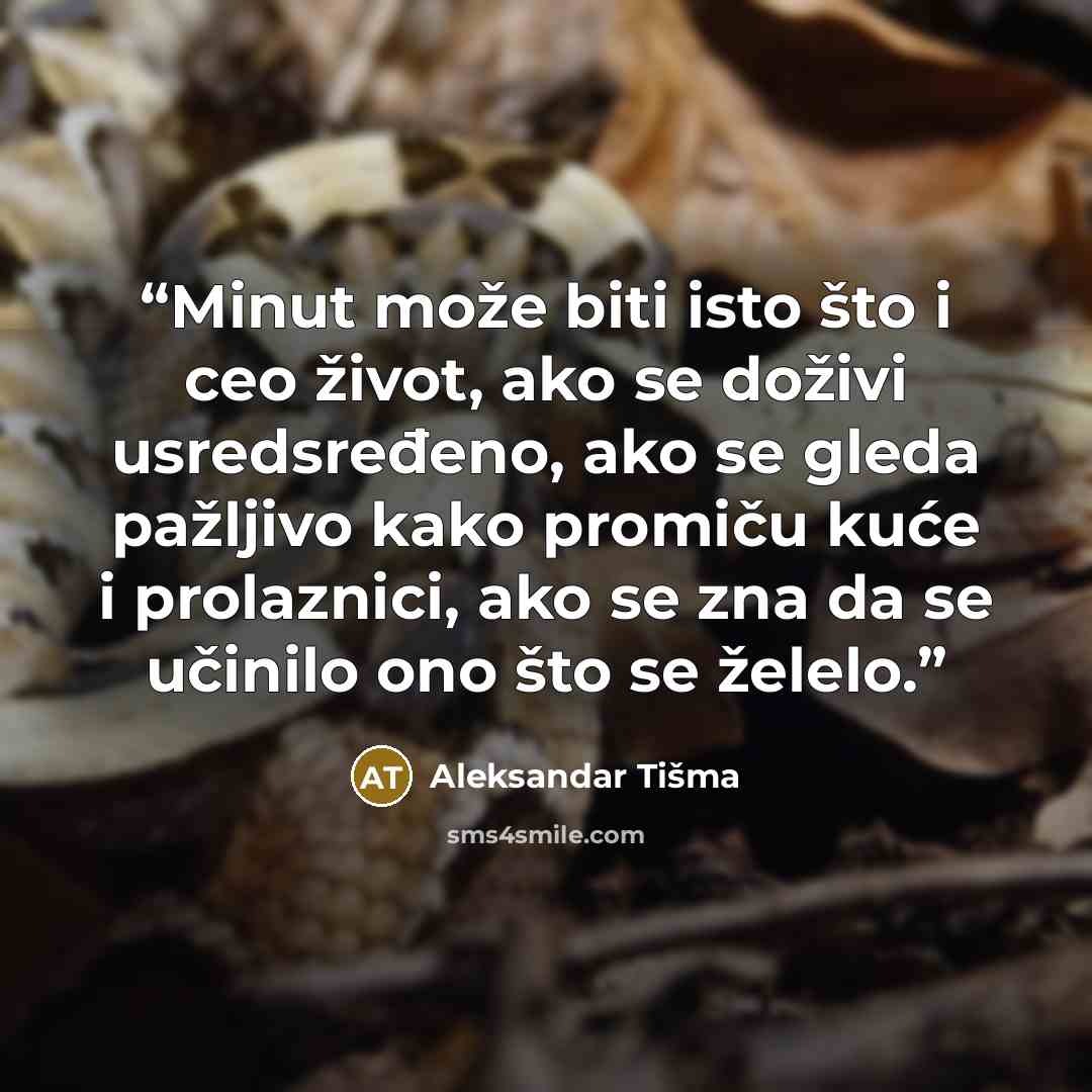 “Minut može biti isto što i ceo život, ako se doživi usredsređeno, ako se gleda pažljivo kako promiču kuće i prolaznici, ako se zna da se učinilo ono što se želelo.” quote by Aleksandar Tišma