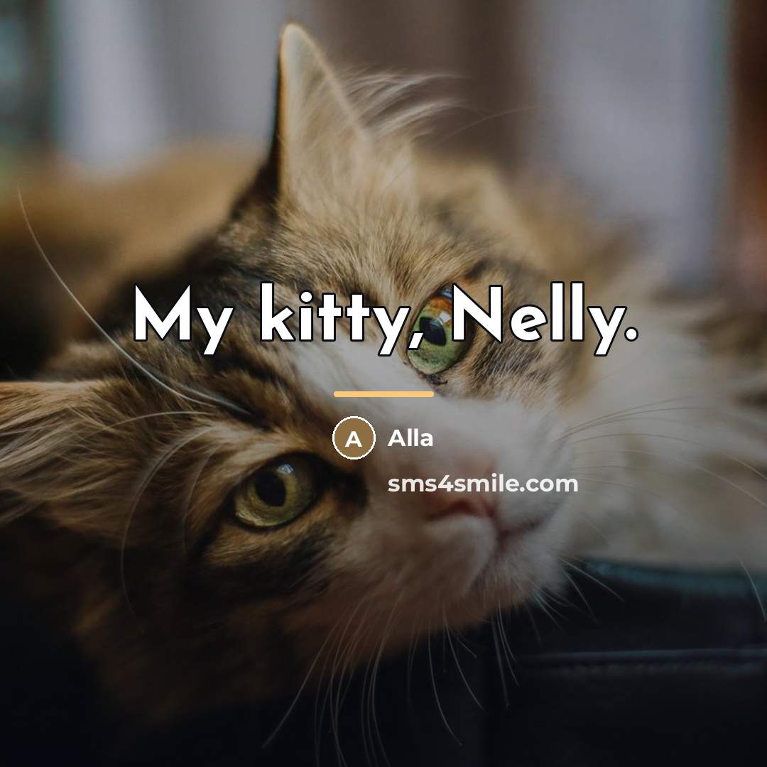 “My kitty, Nelly.…” quote by Alla