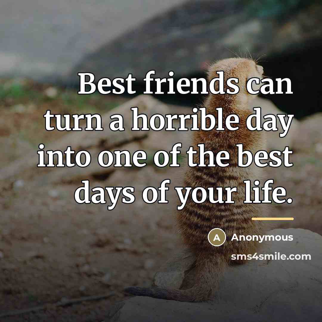 “Best friends can turn a horrible day into one of…” quote by Anonymous