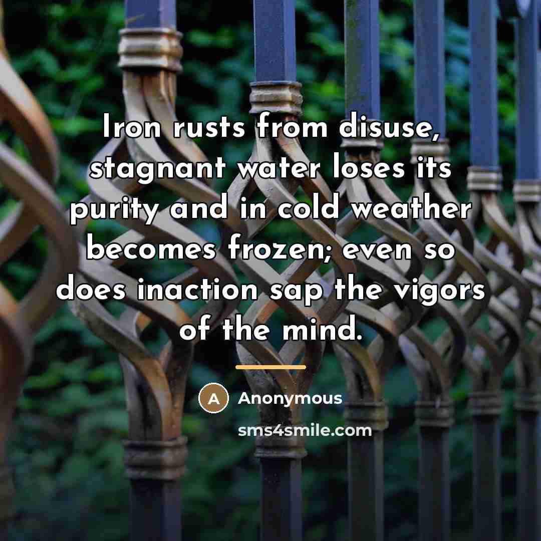 “Iron rusts from disuse, stagnant water loses its purity and…” quote by Anonymous