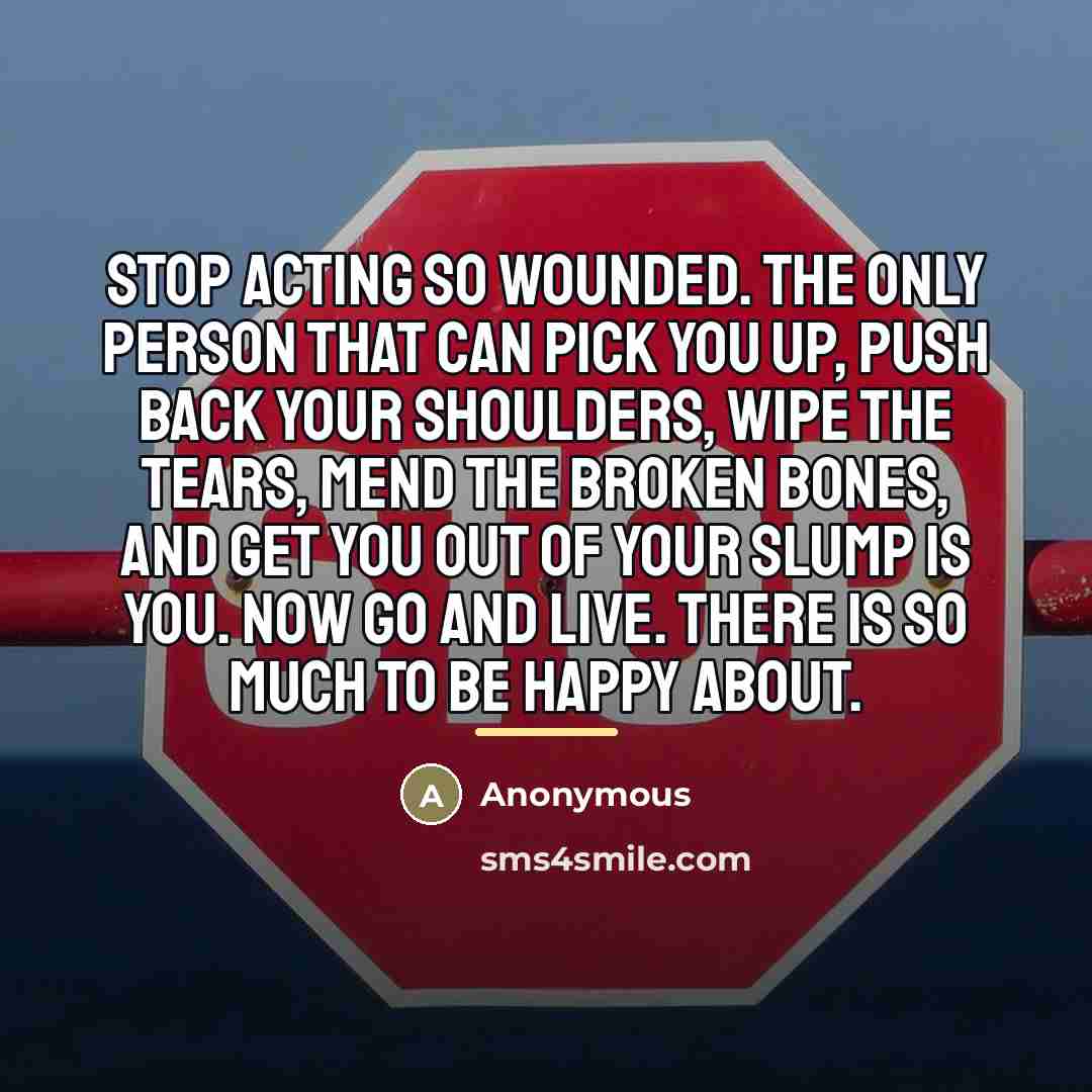 “Stop acting so wounded. The only person that can pick…” quote by Anonymous