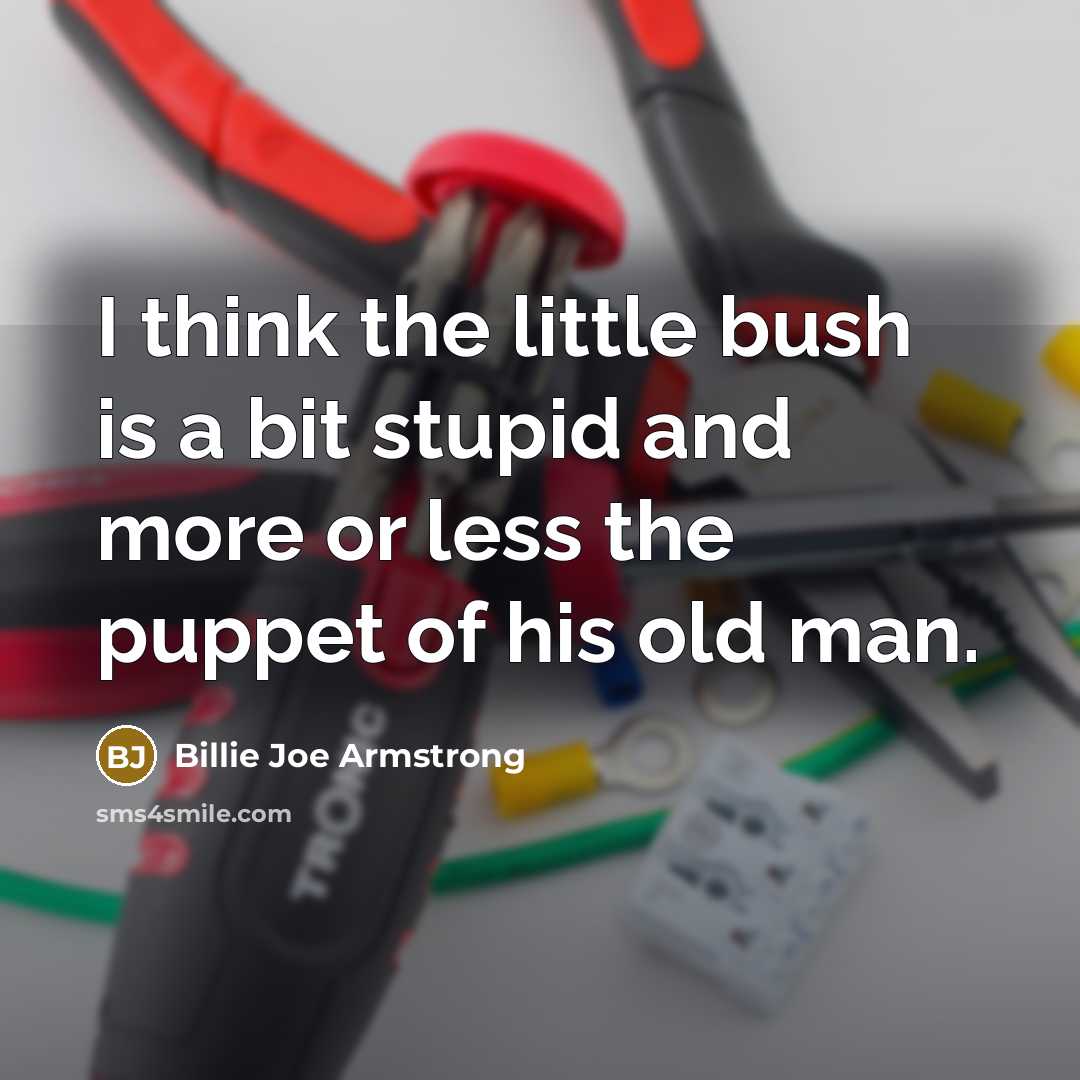 “I think the little bush is a bit stupid and…” quote by Billie Joe Armstrong