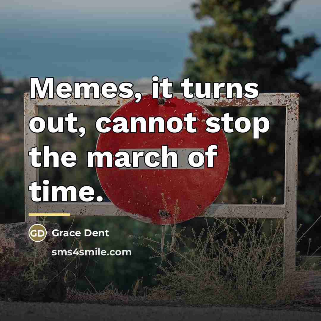 “Memes, it turns out, cannot stop the march of time.…” quote by Grace Dent