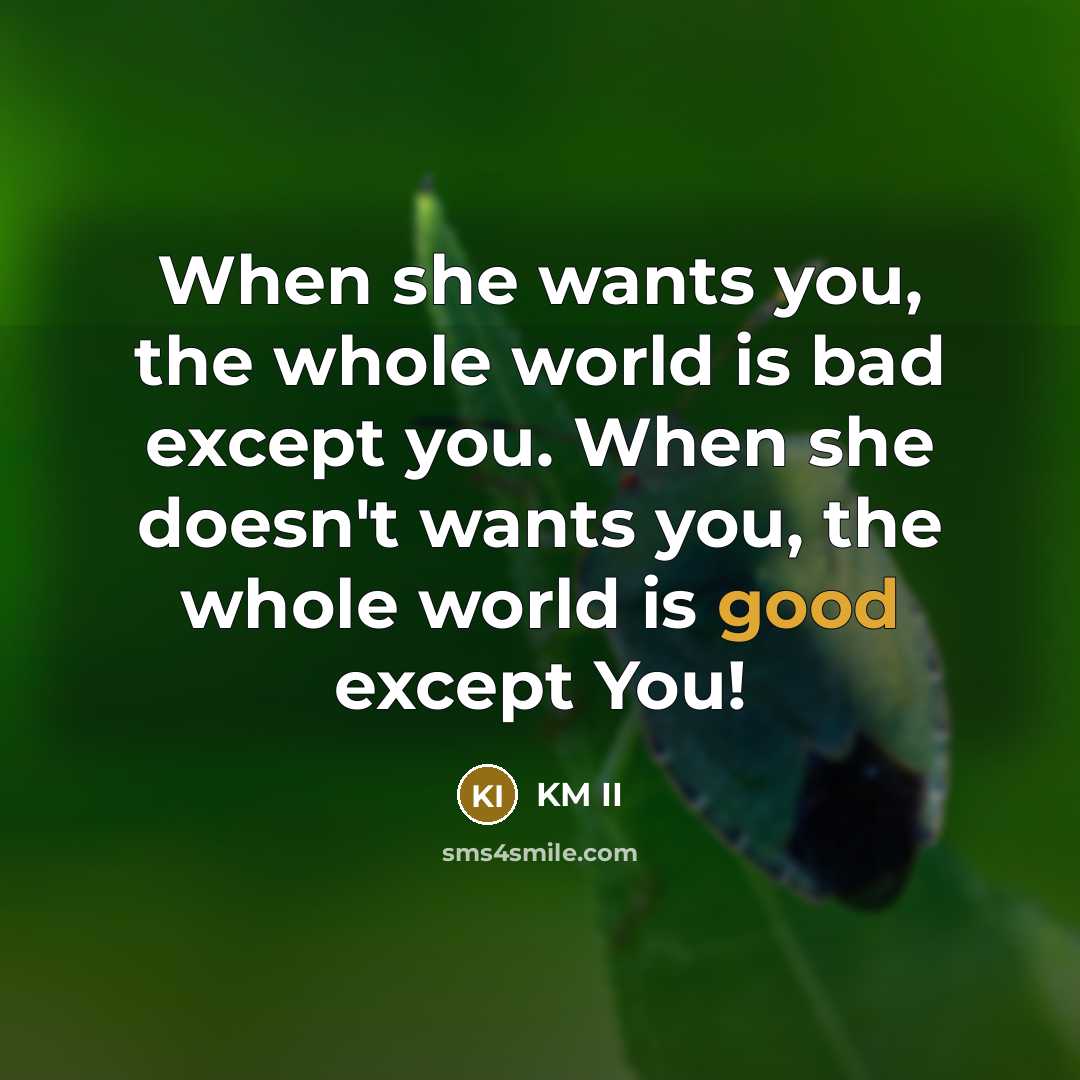 “When she wants you, the whole world is bad except you. When she doesn't wants you, the whole world is good except You!” quote by KM II
