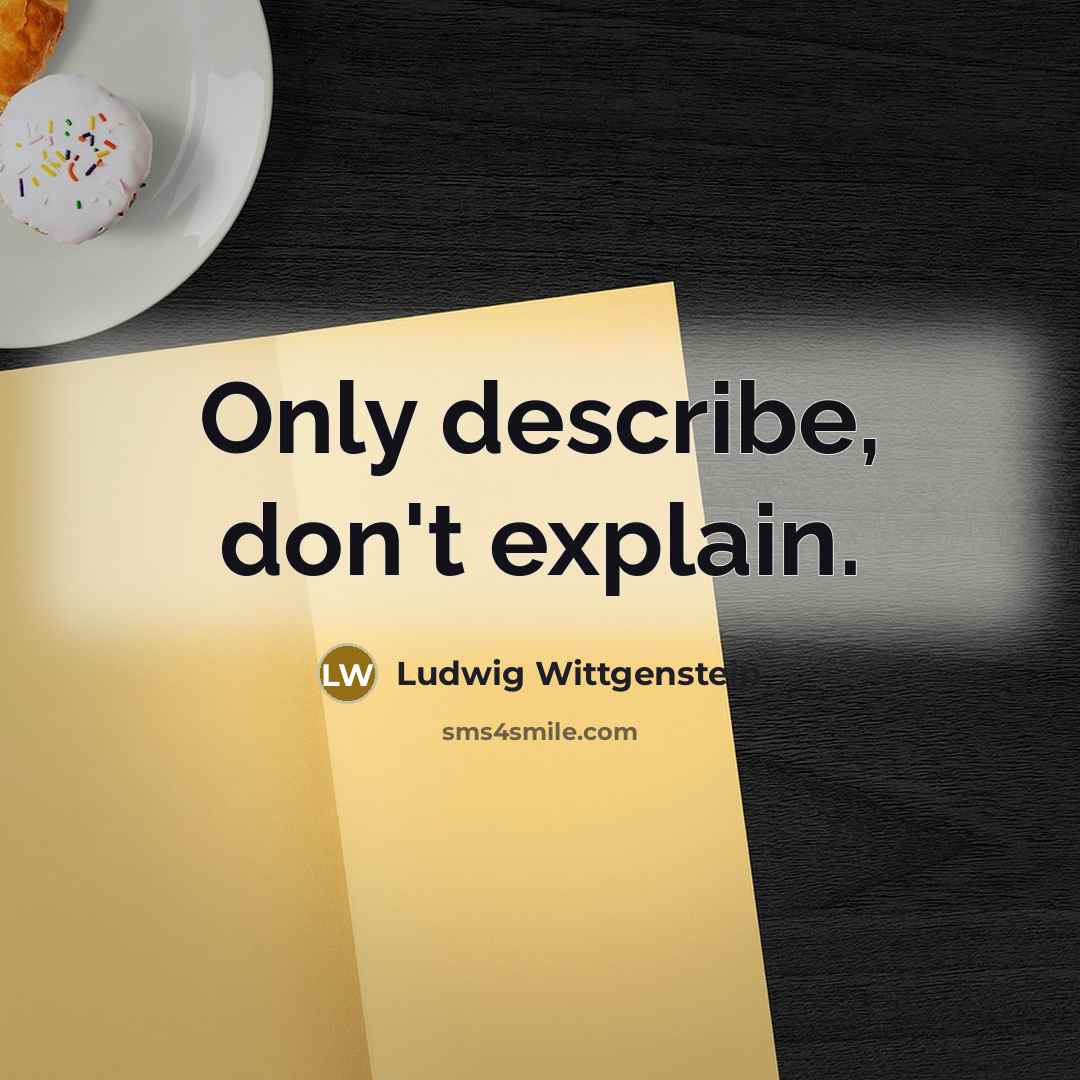 “Only describe, don't explain.…” quote by Ludwig Wittgenstein