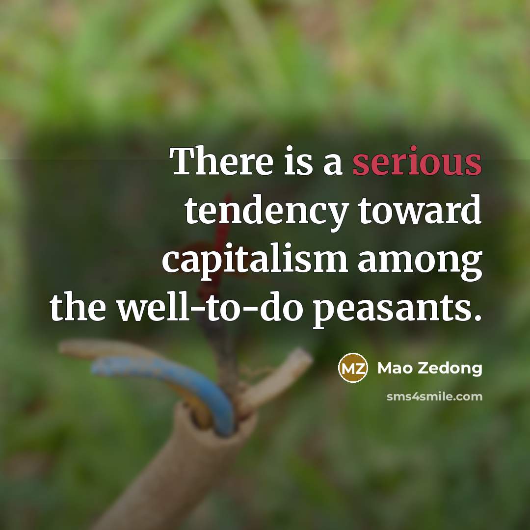 “There is a serious tendency toward capitalism among the well-to-do…” quote by Mao Zedong