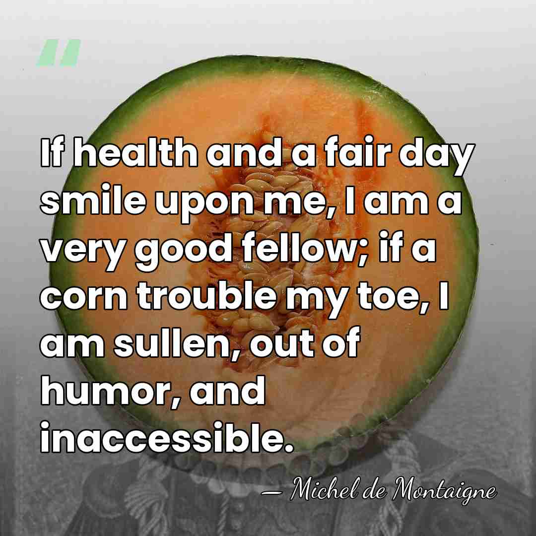 If health and a fair day smile upon me, I am a&hellip; - Michel de Montaigne
