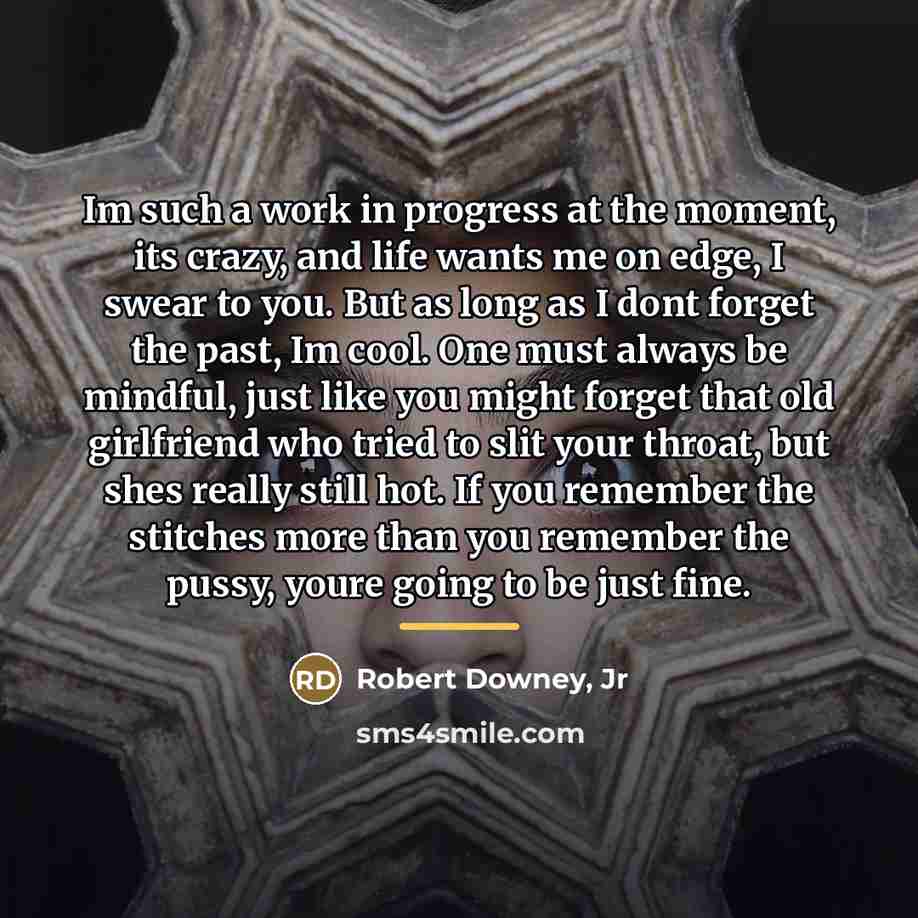 “Im such a work in progress at the moment, its…” quote by Robert Downey, Jr