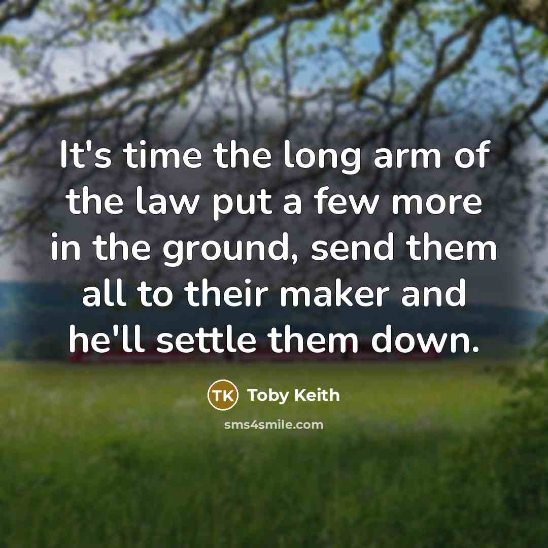“It's time the long arm of the law put a…” quote by Toby Keith