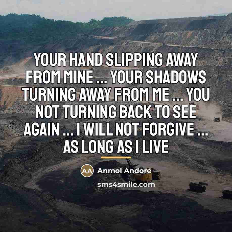 “Your hand slipping away from mine ... your shadows turning…” quote by Anmol Andore