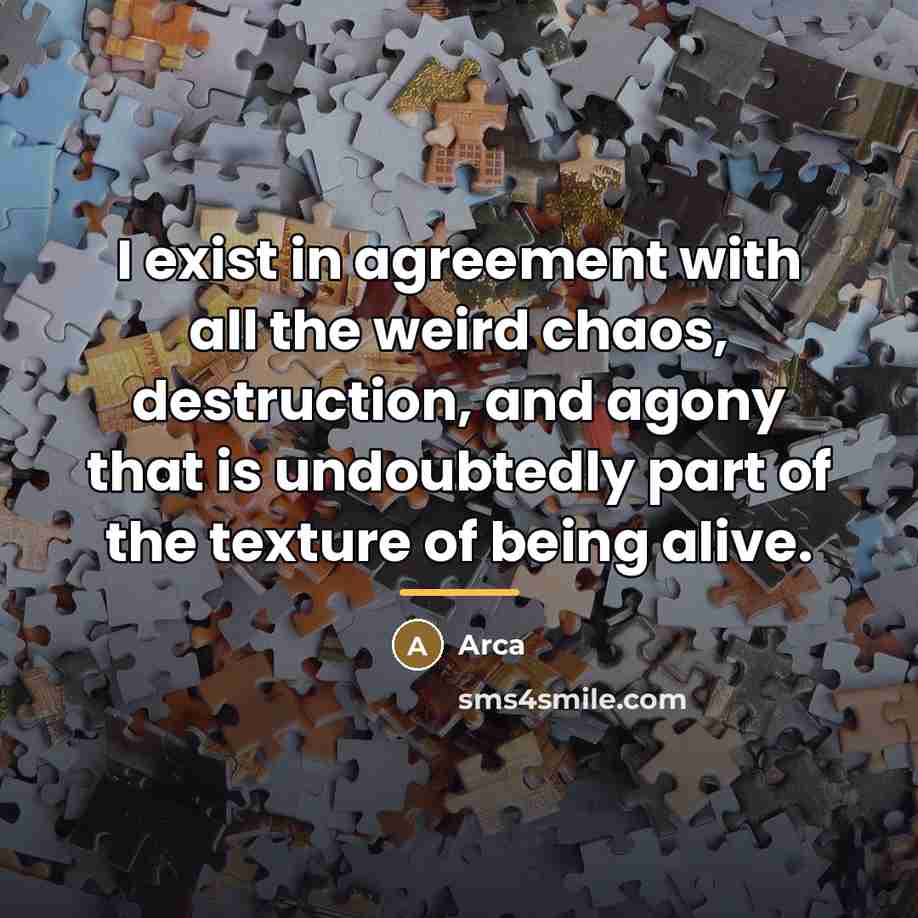 “I exist in agreement with all the weird chaos, destruction,…” quote by Arca