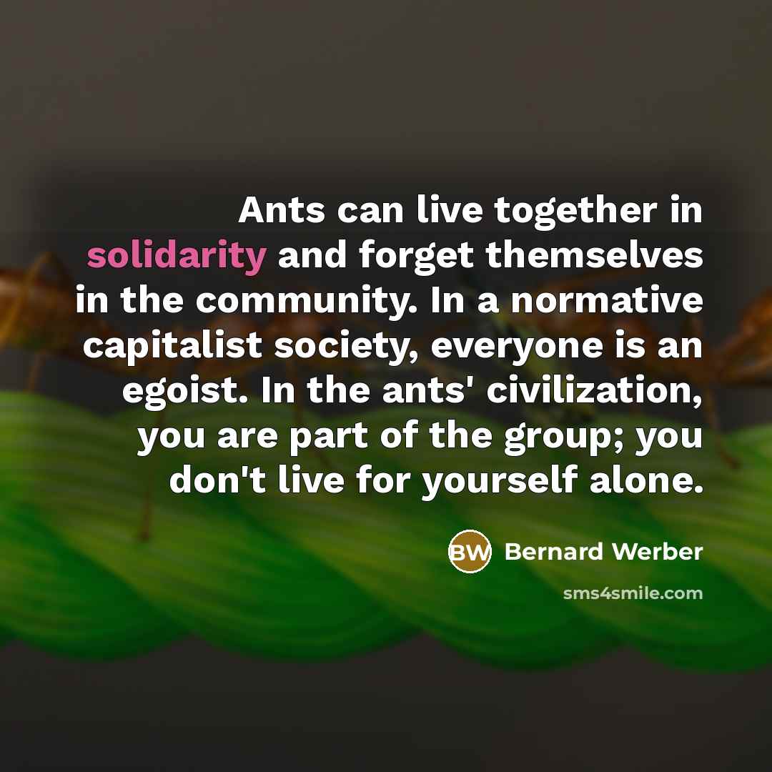 “Ants can live together in solidarity and forget themselves in…” quote by Bernard Werber