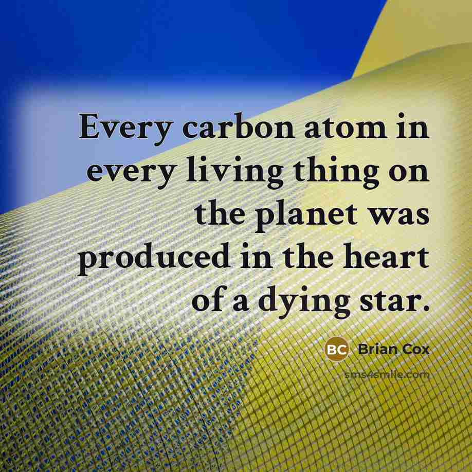 “Every carbon atom in every living thing on the planet…” quote by Brian Cox