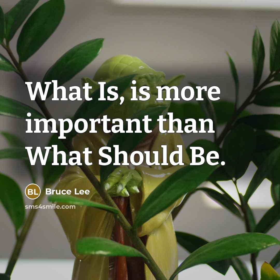 “What Is, is more important than What Should Be.…” quote by Bruce Lee
