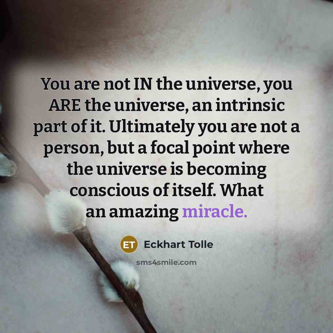 “You are not IN the universe, you ARE the universe,…” quote by Eckhart Tolle