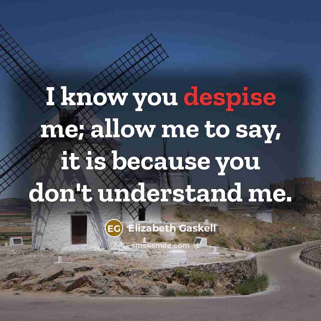 “I know you despise me; allow me to say, it…” quote by Elizabeth Gaskell