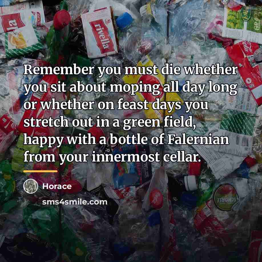 “Remember you must die whether you sit about moping all…” quote by Horace