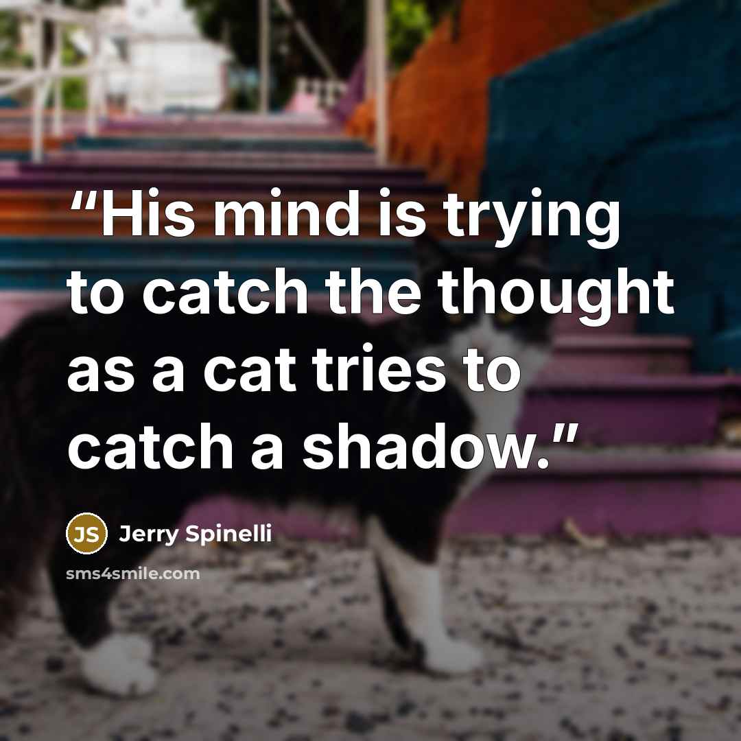 “His mind is trying to catch the thought as a cat tries to catch a shadow.” quote by Jerry Spinelli
