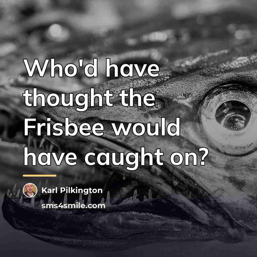“Who'd have thought the Frisbee would have caught on?…” quote by Karl Pilkington