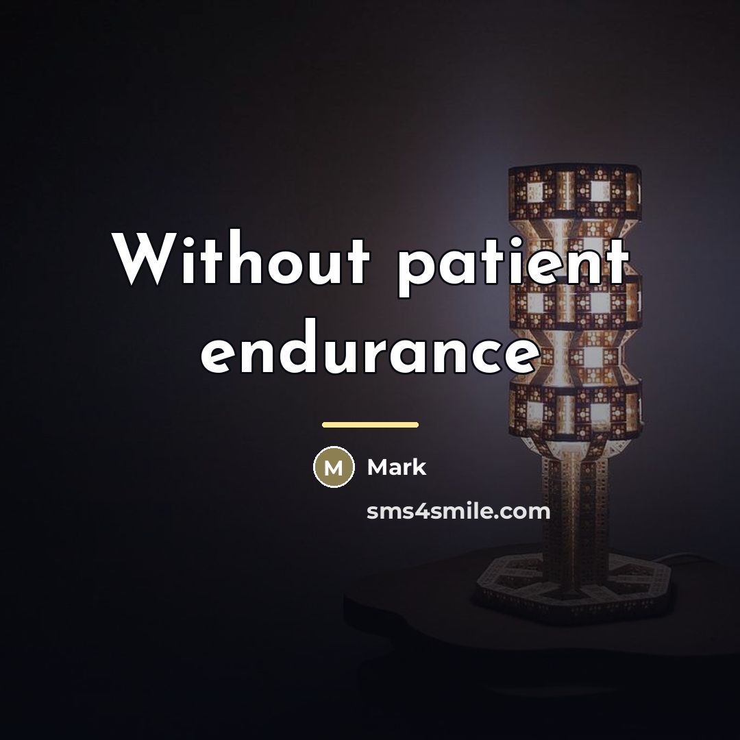 “Without patient endurance…” quote by Mark