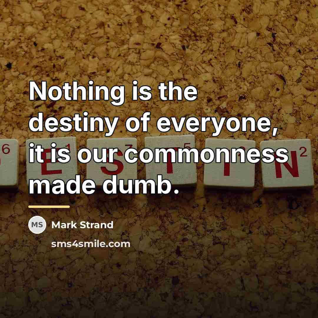 “Nothing is the destiny of everyone, it is our commonness…” quote by Mark Strand