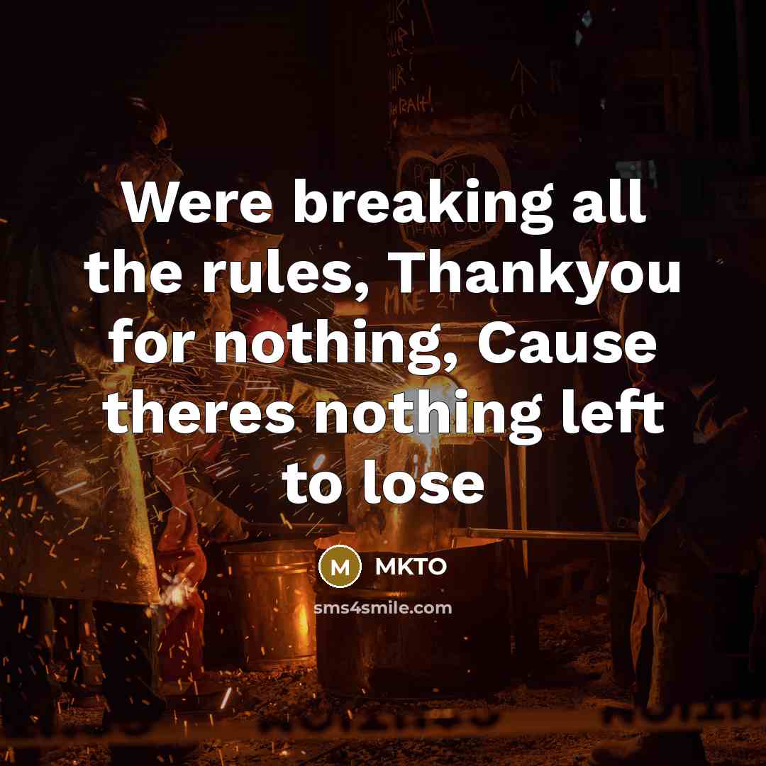 “Were breaking all the rules, Thankyou for nothing, Cause theres nothing left to lose” quote by MKTO