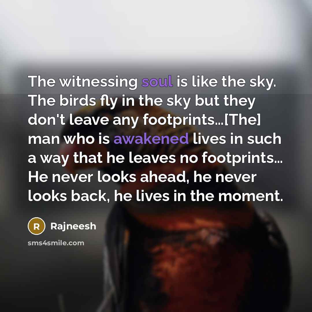 “The witnessing soul is like the sky. The birds fly…” quote by Rajneesh
