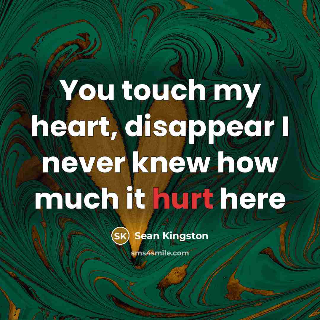 “You touch my heart, disappear I never knew how much it hurt here” quote by Sean Kingston