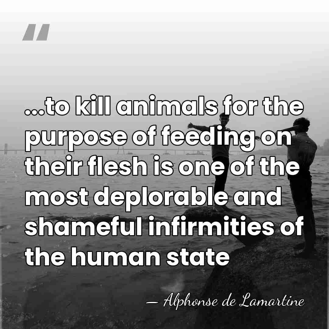 ...to kill animals for the purpose of feeding on their flesh is&hellip; - Alphonse de Lamartine