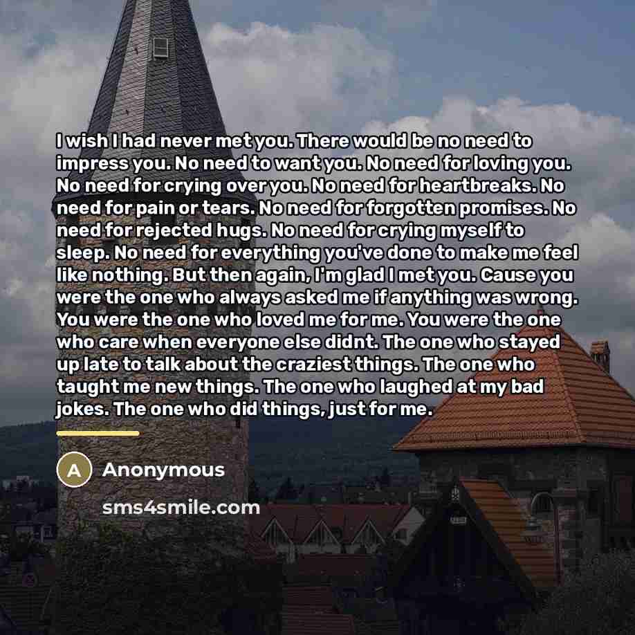 “I wish I had never met you. There would be…” quote by Anonymous