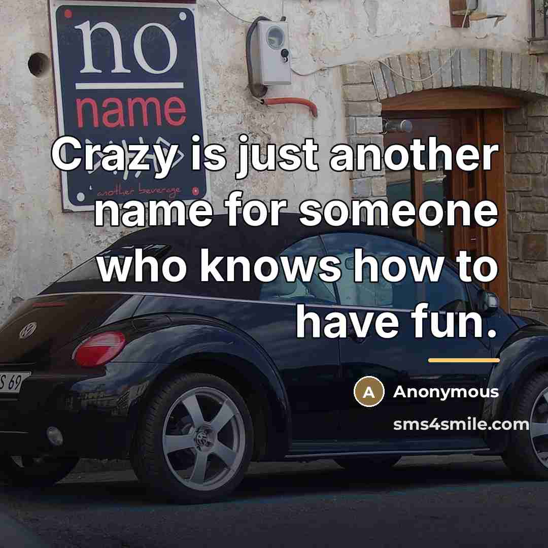 “Crazy is just another name for someone who knows how…” quote by Anonymous