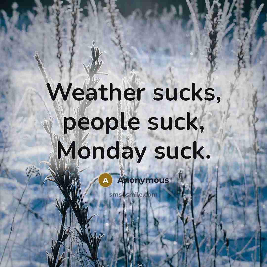 “Weather sucks, people suck, Monday suck.…” quote by Anonymous